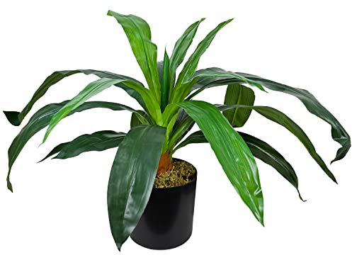 Decovego Drachenbaum Künstlich Kunstbaum Kunstpflanze Kunstbaum Künstliche Pflanze Künstlicher Baum Deko Innendekoration 45 cm