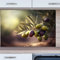 INDIGOS UG Küchenrückwand - Olivenzweig - 100x50 cm ESG Echtglas Bedruckt - mit Bild - Motiv - Küche - Rückwand - Glasplatte - Spritzschutz - Herd - Ofen
