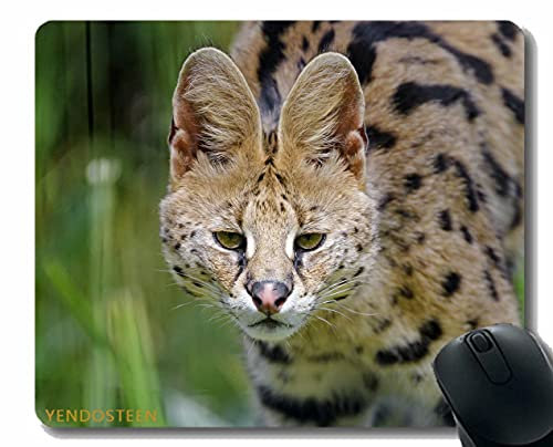 YENDOSTEEN Colors Gaming Mouse Pad Custom Design Mat,Serval Wild Cat Cat 180143 Non-Slip Rubber Base Mousepad