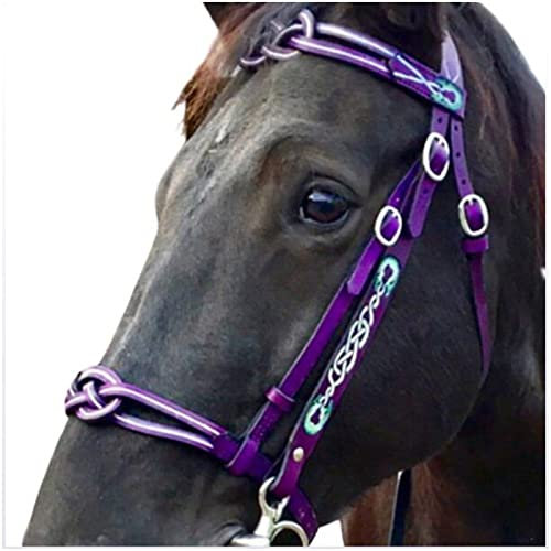 Reitzaumzeug, Pferdehalfter, Einheitsgröße, mehrfarbig, englisches Leder, Pferdezügel, Reitzubehör mit 2 Seilen, für Outdoor-Training, Reiter, Geschirr, Ausrüstungswerkzeug (lila)