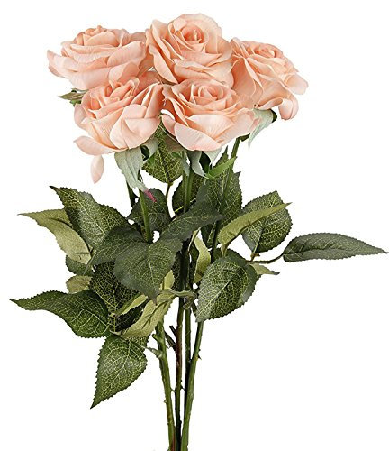 TININNA 5 Stück Latex Real Touch Kunstblumen Künstliche Rosen Blumen Künstlicher Blumenstrauß Brautstrauß Hochzeit Deko Champagner EINWEG Verpackung