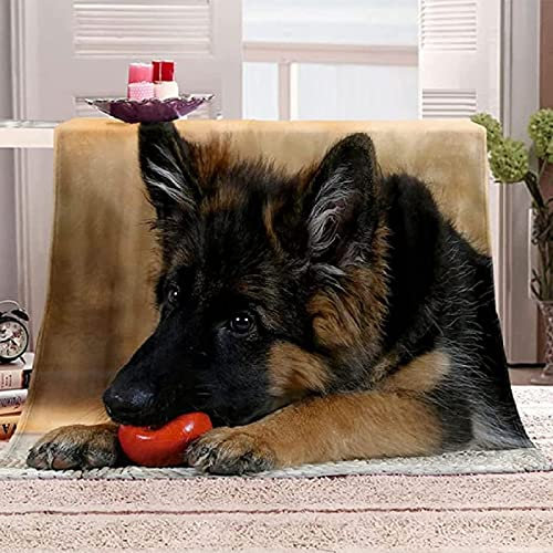 Kuscheldecke flauschig Flanell 150x200cm 3D Deutscher Schäferhund Gedruckte Fleecedecke Weich Decken Mikrofaser Wohndecke Tagesdecke Dicke Sofadecke & Couchdecke Decke Sofa & Bett, für Kinder