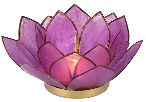 GURU SHOP Lotus Teelicht Muschel 14x6 cm - Dunkel-lila