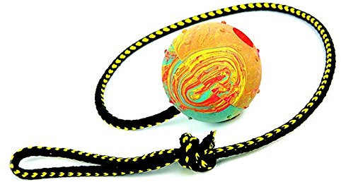 Dingo 17297 Balle à rapporter en Caoutchouc Dur avec Corde Taille M