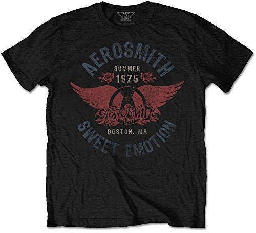 Aerosmith AEROTS02MB05 T-Shirt, Black, XX-Large