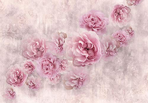 wandmotiv24 Fototapete rosa Rosen Betonwand alt, XXL 400 x 280 cm - 8 Teile, Wanddeko, Wandbild, Wandtapete, M4678