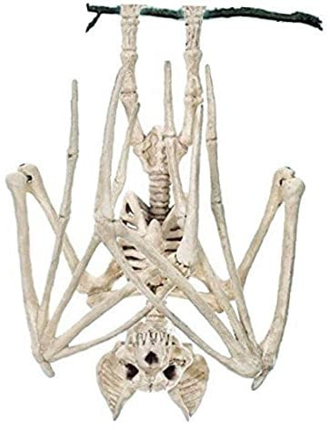 REOVE 1 Pc Horrible Halloween Fledermaus Skelett Simulation Fledermaus Lebensechte Fledermaus Knochen Requisiten Tier Für Dekoration, Fledermaus