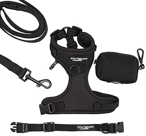 Paw Highness Dog Walking Harness, Collar, Leash & Poo Bag Holder Set in Black Large