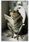 WEERSHUN Poster Grenouille sur Toilettes Journal de Lecture Salle de Bain Enfants Humour Animal Drôle Sur Toilettes Noir Blanc Affiche 90 Années 90 Toile Art Mural Chambre Décoration Esthétique