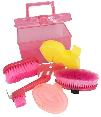 PFIFF 103116 - Scatola per la pulizia Petit Glitter, colore: Rosa