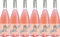Fabiano Vini Settimo Miglio Pinot Grigio delle Venezie Rosè DOC 2023 Trocken (6 x 0.75 l)