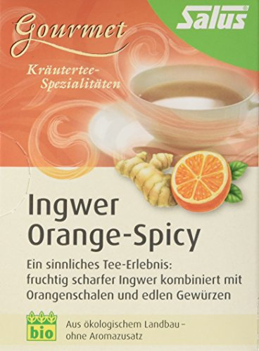 Salus Orange-Spicy Ingwer Gewürz-Kräutertee, 3er Pack (3 x 30 g) - Bio