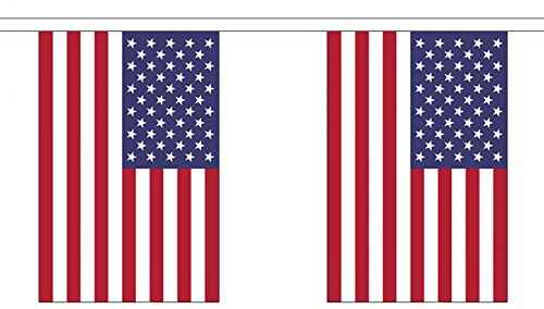 USA (États-Unis) Petite fanions