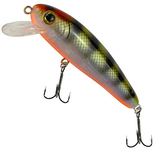 Fishing Tackle Max Unisex – Erwachsene 10C8900158C10 SEIKA Pr-Akita-Wobbler Farbe: Goby Länge: 11,0cm Programm von FTM, Bunt, Normal