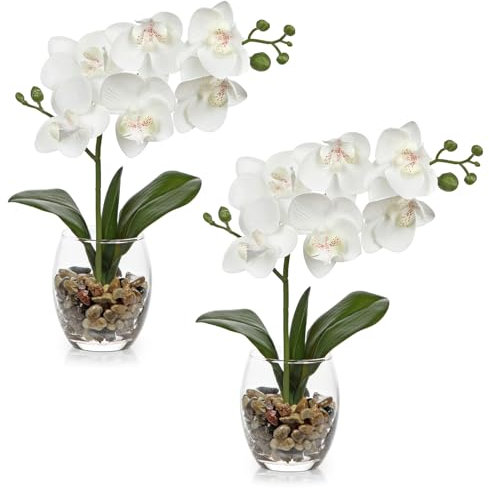 Arborus 2 orchidee artificiali bianche in vaso di vetro, piccole orchidee finte con vaso boho, decorazione per matrimoni, centrotavola, decorazione per la casa, soggiorno, bagno