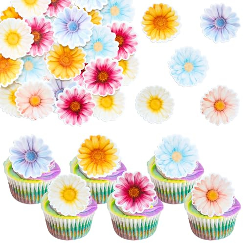 Gyufise 48Pcs Daisy Cupcake Toppers Rice Paper Chrysanthemum Chamomile Cupcake Picks for Spring Summer Baby Shower Wedding Birthday Party Cake Decorations Supplies Multicolor