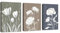 3 Pcs Boho Neutre Blanc Floral Plante Tableau Décoration Murale Salon Vintage Minimaliste Botanique Fleurs Impression sur Toile Image sur Toile Peintures Décor Murale pour Chambre Maison 40x60cmx3 Pcs