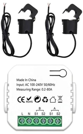 LYNNRICK ZigBee 2-Kanal-Energiezähler, Bidirektional, mit Stromsensor, Tuya Smart Monitor, Stromversorgung 80 A, 110 V/240 V, Gateway Erforderlich