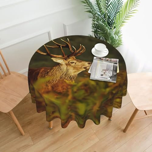 EdWal Tischdecke mit Hirsch-Motiv, waschbar, für Küche, Esszimmer, Outdoor, Camping, Herbst