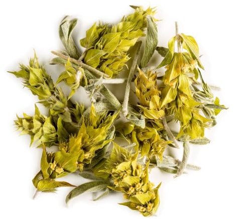 Té Montaña Griego Orgánico - Sideritis Cardica Desde Grecia - Escogido A Mano 50g