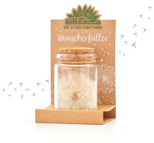 Die Stadtgärtner – 2X Wunscherfüller I Echte Pusteblume im Glas I Ewig haltbar I Perfekte Geschenkidee für jeden Anlass I Geschenke für Frauen & Freundin