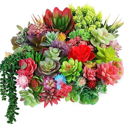 WILLBOND 50 Pcs Bulk Mini Artificial Succulents Plants Assorted Unpotted Realistic Plants Fake Textured Succulent Picks Realistic Plastic Cactus Stems for Succulent Garden Home Decor (Large Style)