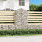 ARKEM Gabione mit Hochbogen 100x50x180/200 cm Verzinktes Eisen Steinkorb Drahtkorb, Gabionenkorb Verstärkte Gabionenhaken, Gabionenwand Gabionen Zaun