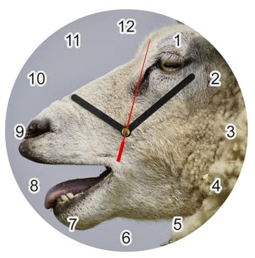 Wanduhr aus Glas – Schaf, Gesicht zu Gesicht, Schaf mit Tieren, Foto witzig – Durchmesser 20 cm – Weiß