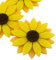 Summer-Ray 20 Stück 5cm dreilagige Filz-Sonnenblumen – DIY-Bastelverzierungen für Scrapbooking & Wohndekor