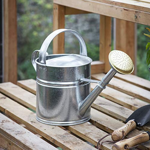 CKB LTD Regadera de acero galvanizado para exteriores, 5 L, con rosa de latón, para jardines grandes y pequeños, flores y plantas, resistente, antioxidante (5 litros)