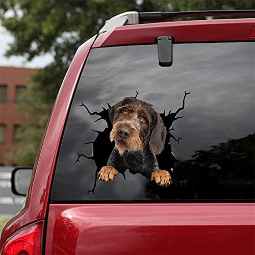 Ocean Gift Deutsche Drahthaar Auto Aufkleber, Hund Auto Aufkleber 2 Stück - Realistische Deutsche Drahthaar Aufkleber für Autofenster, Wände Serie 109 Größe 25,4 x 25,4 cm