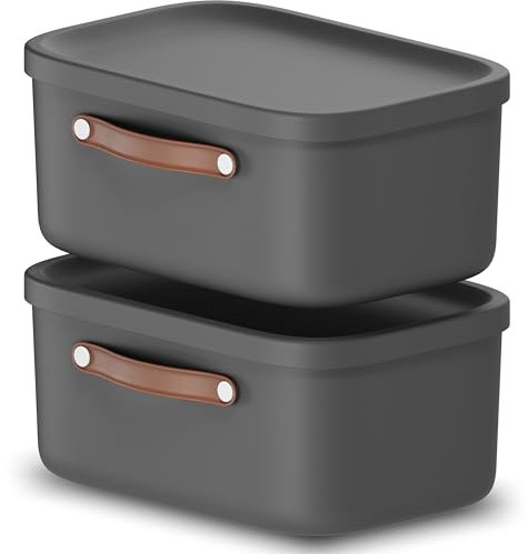 Rotho Maloja 2er-Set Aufbewahrungsbox mit Deckel 12 l, Kunststoff, anthrazit, 12 (39.5 x 26.5 x 17.7 cm)