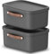 Rotho Maloja 2er-Set Aufbewahrungsbox mit Deckel 12 l, Kunststoff, anthrazit, 12 (39.5 x 26.5 x 17.7 cm)