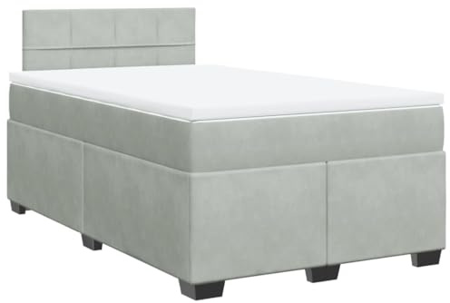 vidaXL Boxspringbett mit Matratze Hellgrau 120x200 cm Samt
