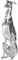 Invicta Interior Design Skulptur Greyhound Alu 70cm Hund Figur Dekoration Accessoire Dekofigur