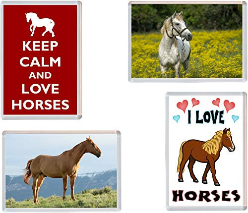 Horse/Horses - 4 PACK - Jumbo Fridge Magnet/Magnets