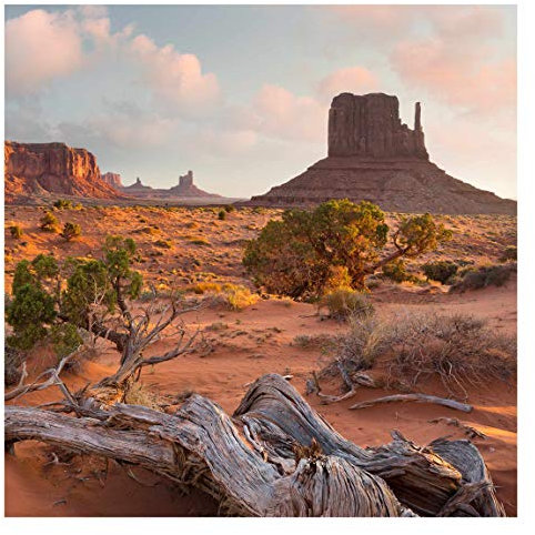 Vliestapete Monument Valley Navajo Tribal Park Arizona Fototapete 240x240cm
