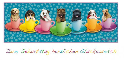 Keith Kimberlin Geburtstagskarte Glückwunschkarte Hunde in Tassen Panoramakarte 11x22 cm