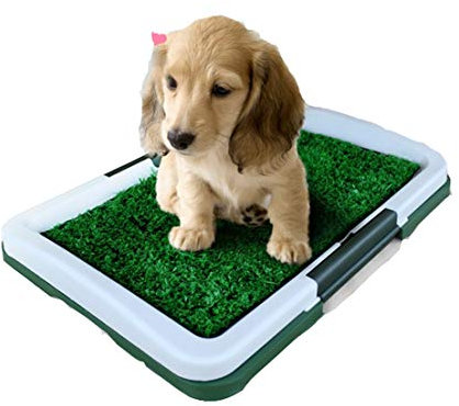 Gmjay Dreistufige Hundetoilette Hundetöpfchen Gras Trainingsmatte Abnehmbare Ablage Zum Aufräumen Von Rasen 47 X 34 cm