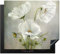 KitchenYeah© Herdabdeckplatte Einteilig Küche Ceranfeld Abdeckplatte Cerankochfeld Abdeckung Induktionskochfeld Schutzmatte Blumen - Mohn - Weiß - Botanik - Moderne - 57x51 cm