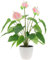 Quancru 42cm Simulation Anthurium Lilien Blume Künstliche Bonsai Echte Berührung Gefälschte Andraeanum Pflanze Dekoration Hochzeit Party Anzeigen