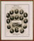 World of Football Fotorahmen VFL Mönchengladbach Westdeutscher Meister 1920/21