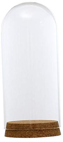 F Fityle Glashaube Glasglocke Glassturz mit Holzboden DIY Landschaften Fairy Garten Terrarium, 8x18cm