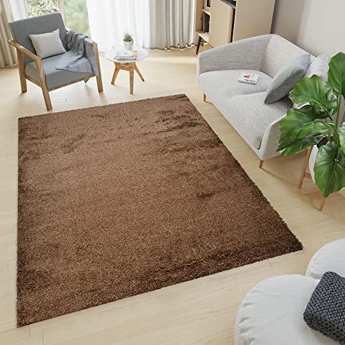 TAPISO Evra Teppich Hochflor Shaggy Langflor Braun Einfarbig Wohnzimmer Schlafzimmer Modern Design 120 x 170 cm
