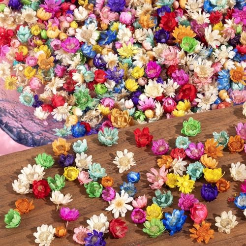 300Pcs Small Dried Flowers for Crafts, Mini Dried Flowers for Resin | Tiny Natural Real Pressed Flower Bulk for DIY, Candles Soap Making, Beautify Nails