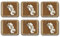 Jason D2124 Untersetzer Goldene Orchideen, 6er-Set