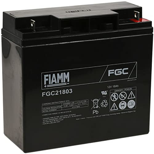 POWERY FIAMM Batteria ricaricabile da cambio per corrente di emergenza (USV) 12V 18Ah (resiste ai cicli), Lead-Acid, 12V