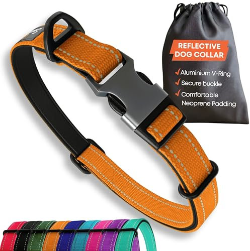 Starkes Hundehalsband Mittlere Hunde - Orange Reflektierend Gepolstert Hundehalsbänder - Verstellbar - Sicherheit Metallschnalle, Aluminium V-Ring