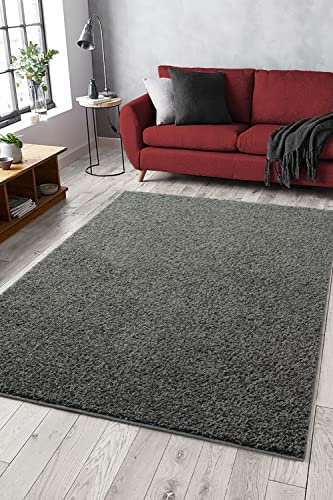 Mia´s Teppiche Lessy Waschbar Teppich, Hochflor, Langflor, Wohnzimmer, Schlafzimmer, Einfarbig, waschbar, Anti-Rutsch, 30 mm Florhöhe, Anthrazit, 80 x 150 cm