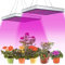 Randaco 2x15W LED Pflanzenlampe, 225PCS LEDs Grow Lampe, Quadrat Vollspektrum Pflanzenlicht, Plant Lamp Indoor Wachstumslampen für Gemüse, Blume, Aussaat, Grow Tent, Greenhouse